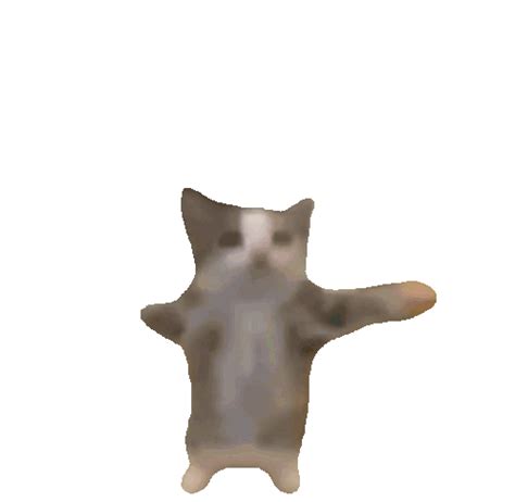 Happy Cat Sticker - Happy Cat Cat meme - Discover & Share GIFs