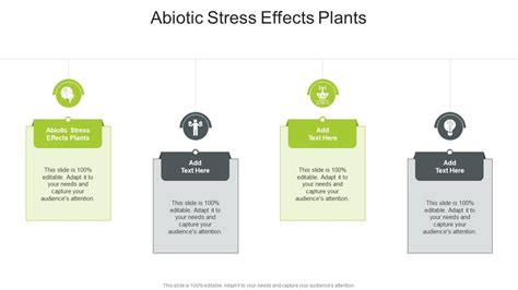 Abiotic Stress Effects Plants In Powerpoint And Google Slides Cpb PPT ... 