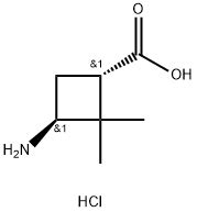 Cas Trans Amino Dimethylcyclobutane Carboxylic