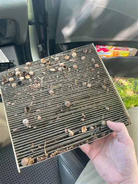 Thanks From A Non Mechanic To The Guys Who Posted The Cabin Air