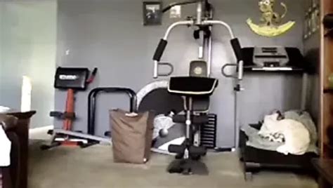 Free Horny Naked Porn Videos Xhamster