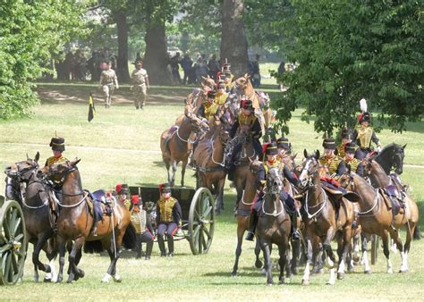 Chariot Warfare Insight Into Ancient Battlefield Tactics All About