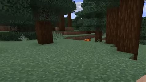 How To Tame A Fox In Minecraft Complete Guide