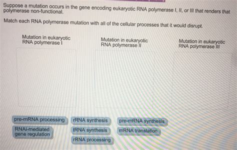 Solved Suppose A Mutation Occurs In The Gene Encoding Chegg