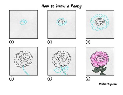 How To Draw A Peony Helloartsy