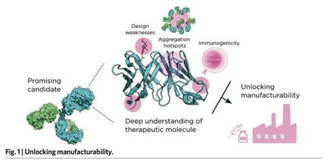 Fusion Antibodies: Quality By Design - Fusion Antibodies