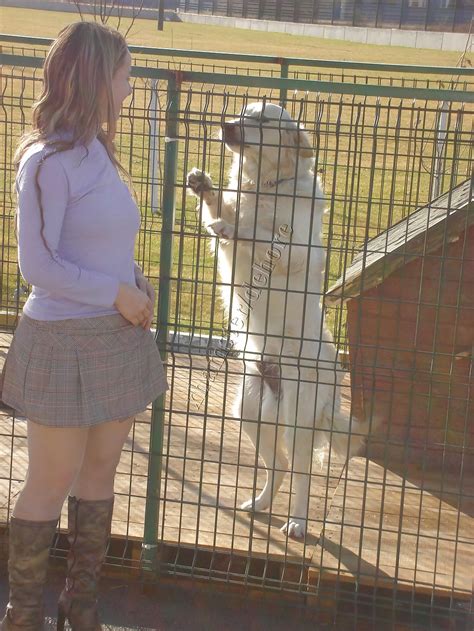 Turkish Pantyhose Part 5 Porn Pictures XXX Photos Sex Images 365848 PICTOA