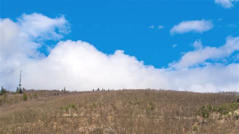 Blue Heaven Clouds Free Photo On Pixabay Pixabay