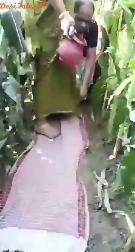 Bihari Bhabhi Hot Outdoor Sex In The Fields With Village Sarpanch