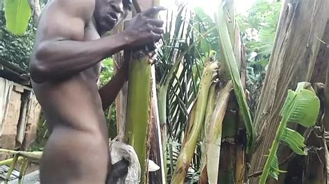 A Fan Ordered Me To Fuck The Banana Tree Gay Handjob Porn Feat Mariojakolino Xhamster