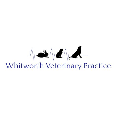 tips for frog weak without vet 1