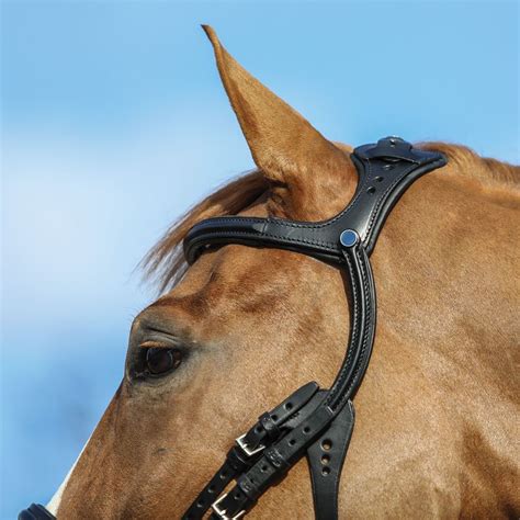 Stubben Freedom English Bridle Schneiders Saddlery