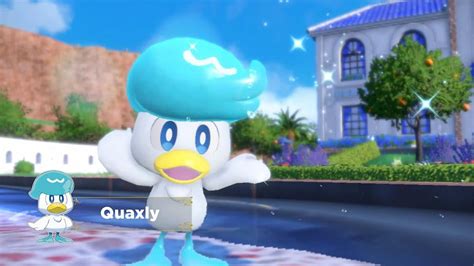 How To Get Quaxly Quaxwell And Quaquaval In Pokemon Scarlet And Violet