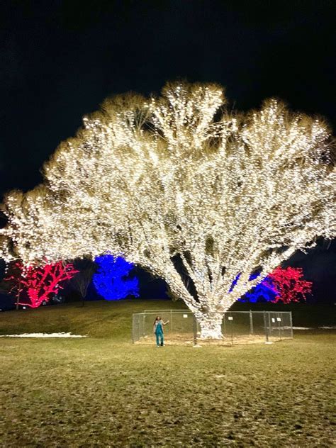 draper city park updated october     reviews