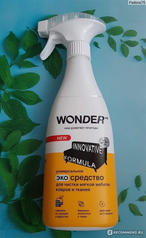 Чистящее средство Wonder Lab Универсальное экосредство для чистки ...