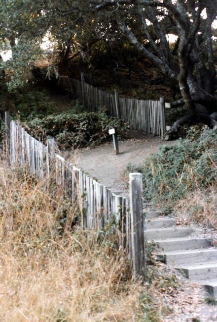 San Andreas Fault Fence