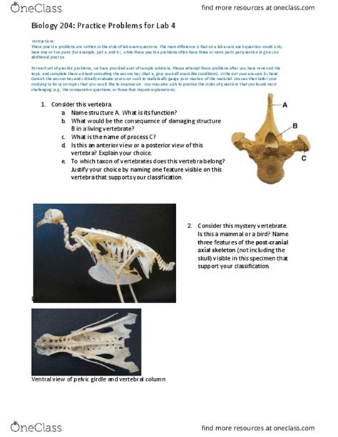 BIOL 300 Study Guide Winter Final Shoulder Girdle Cervical