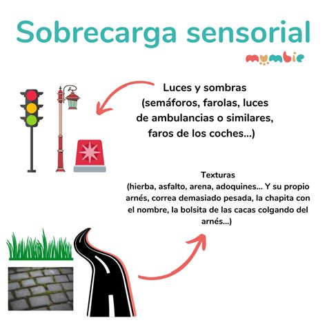 O Que É Sobrecarga Sensorial - O Que é Sobrecarga Sensorial - RETOEDU