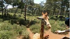 Westlands Nairobi Best Deals And Rates 2025