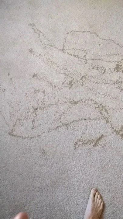 Pissing On My Bedroom Carpet Gay Amateur Amateur Porn XHamster