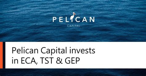 pelican capital  linkedin pelican invests  eca pelican capital