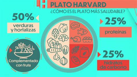 ¿cómo Es El Plato Harvard El Plato Más Saludable