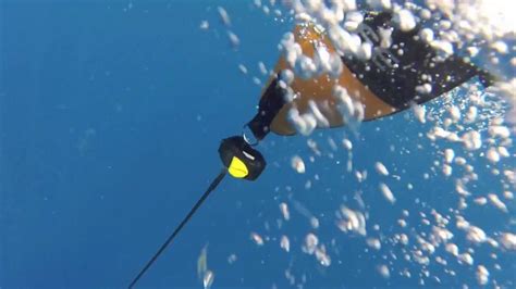 Spearfishing Hawaii Hd Bluewater Youtube