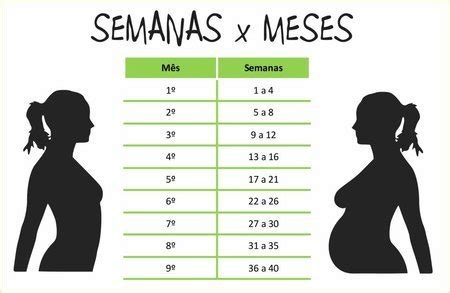 24 semanas sao quantos meses de gestaçao - Gravidez - Assuntos gerais ...