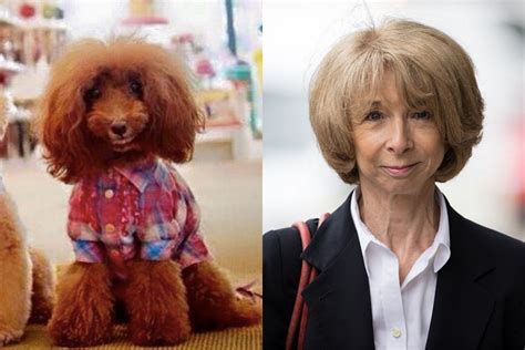 Dogs That Could Be Twins With Celebrities Nonstop Nostalgia