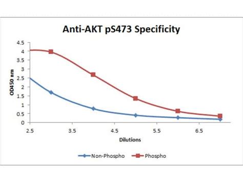 Phospho Akt Ser Mouse Anti Human Monkey Mouse Rat Biotin