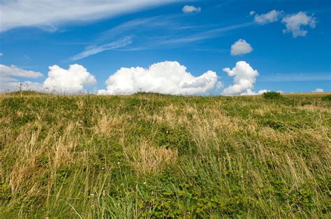 Imagen Gratis Hierba Paisaje Campo Naturaleza Cielo Rural Prado