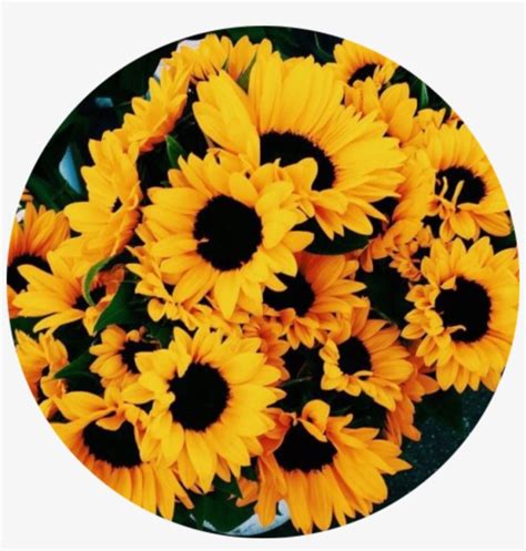 Flower Tumblr Fondo Flores Flor Vintage Fondocirculo - Yellow Aesthetic Flowers Transparent PNG ...