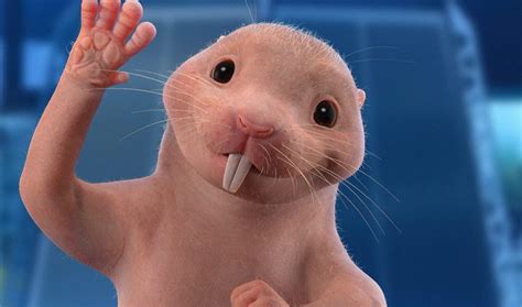 Nancy Cartwright Returns As Rufus The Naked Mole Rat In The Live Action Kim Possible Disney