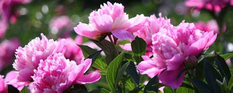 Фотопрогулки | фотограф | Екатеринбург | Солнце - внутри каждого ...