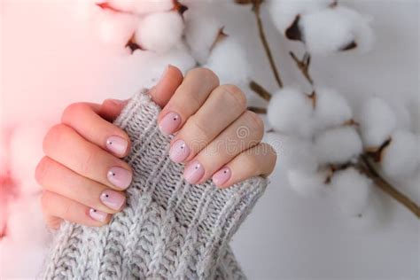 Woman Hands With Beautiful Nude Manicure Holding Delicate White Cotton Flower Female Manicure