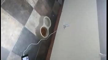 Boobie Rebondissant Xvideos