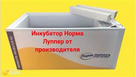 Страница автора Норма инкубаторы | WB Guru