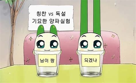 양파쿵야에 있는 별 나비님의 핀 웃긴 밈 웃긴 웃긴 표지판