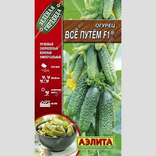 Семена Огурец Все путем F1 10шт Зеленая гирлянда Аэлита купить по ...