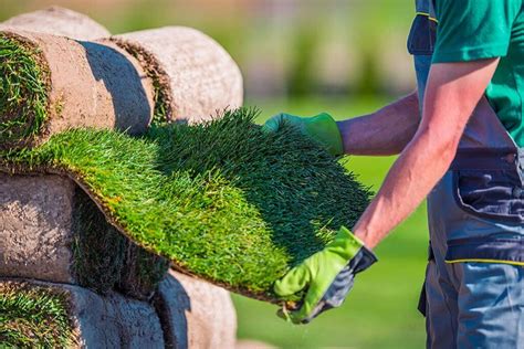 How To Get Rid Of Weeds Without Killing Grass Kinsella Landscaping