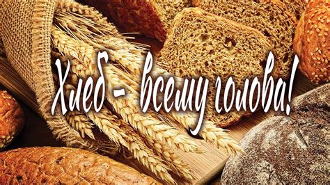 БАЛЛАДА О ХЛЕБЕ ( Хлеб - всему голова) / Разбор на гармони по цифрам ...