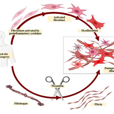Structures of synthetic polymers. | Download Scientific Diagram