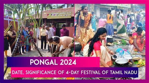 Pongal 2024 Date And Significance Of The 4 Day Harvest Festival