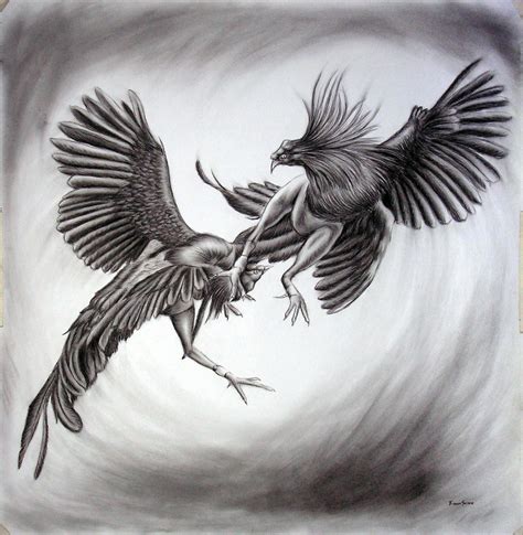 What the law says about types of roosters for fighting 21