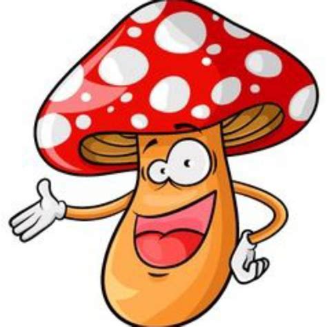 produk jamurancemil shopee indonesia