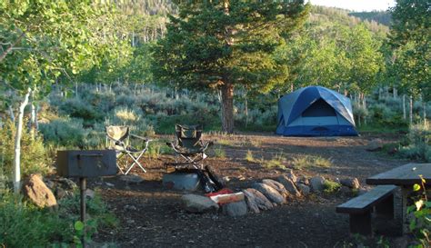 Fishlake National Forest - 2 Photos - Sevier, UT - RoverPass