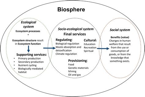 Frontiers A Standardised Ecosystem Services Framework For The Deep Sea