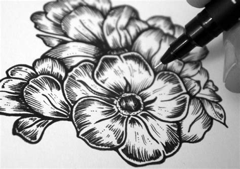 spring  behance