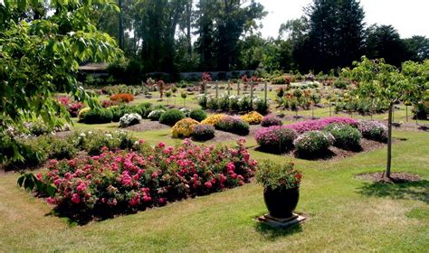 Contact Anthony Tesselaar Plants