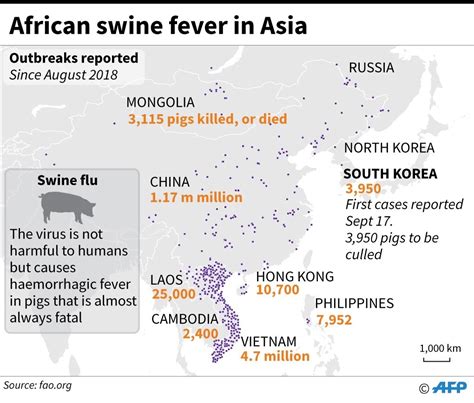 South Korea Confirms First Swine Fever Outbreak